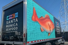 blackbeauty1_1024x576