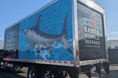 blackbeauty2_1024x576